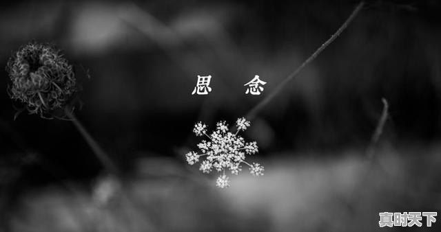 人在临死前最怕什么 - 真时天下