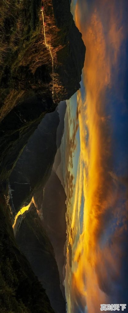 从暗宰到明标，雪乡又陷入宰客的声讨舆论里，对此你怎么看 - 真时天下