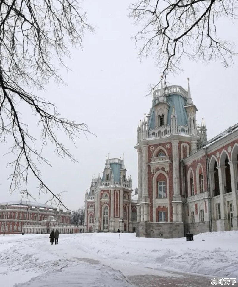 从暗宰到明标，雪乡又陷入宰客的声讨舆论里，对此你怎么看 - 真时天下