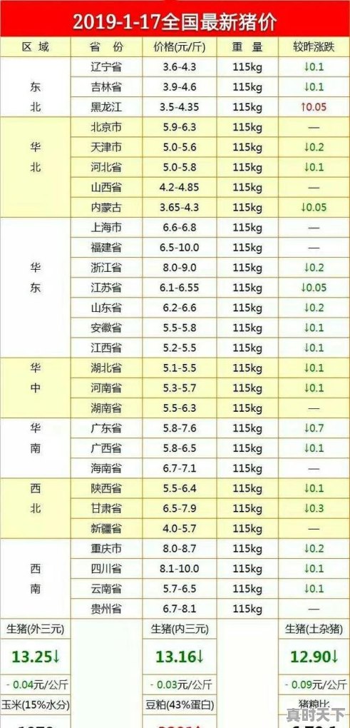 2019年养猪是否能赚钱？还要不要坚持下去 - 真时天下