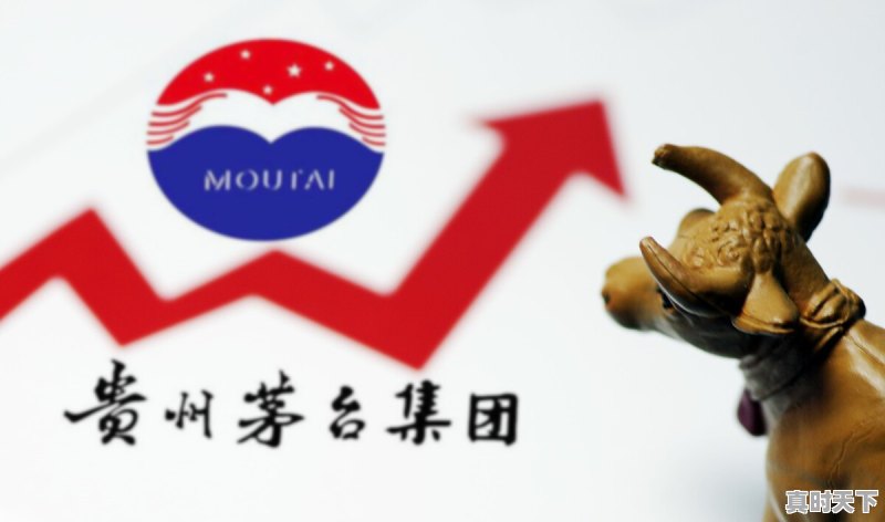 目前消费并未完全恢复，为何贵州茅台股价率先创出历史新高 - 真时天下