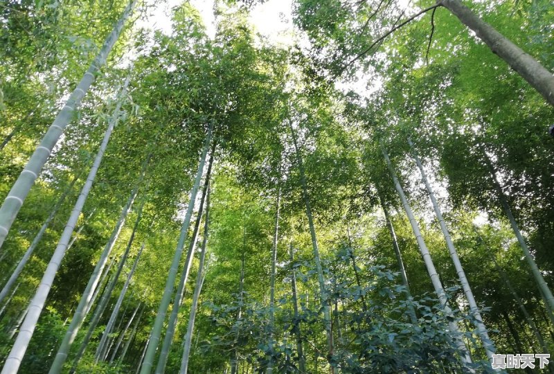 宁国一周天气 - 真时天下