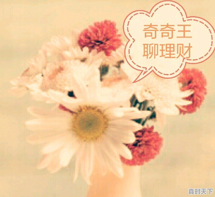 新手该怎么在股市中赚取第一桶金 - 真时天下