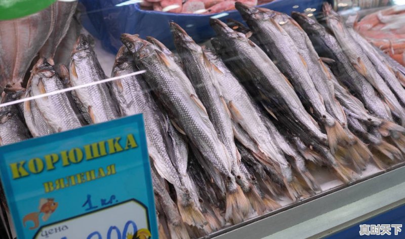 冲突继续下去的话,卢布兑美元汇率会跌到多少 - 真时天下