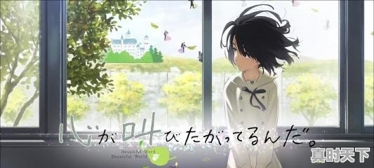 唯美爱情动漫推荐豆瓣高分电影排行榜最新 - 真时天下