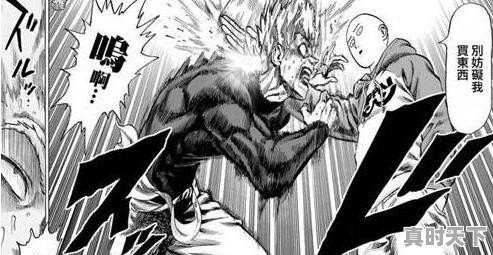 追了好几年的火影完结了，大家还有什么不错的动漫推荐下 - 真时天下