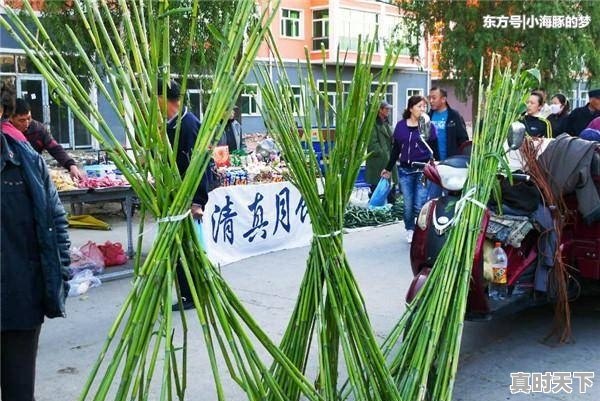 各地都有哪些特色小吃?能否分享一下 - 真时天下