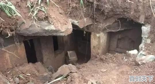 为啥老司机都不买车损险?内行人说“吃一次亏就明白了”是怎么回事 - 真时天下