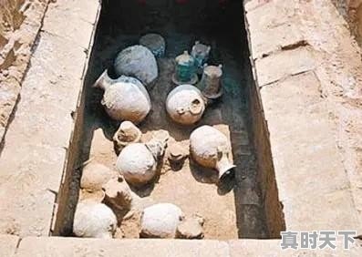 为啥老司机都不买车损险?内行人说“吃一次亏就明白了”是怎么回事 - 真时天下