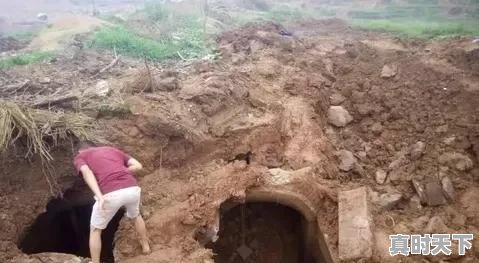 为啥老司机都不买车损险?内行人说“吃一次亏就明白了”是怎么回事 - 真时天下