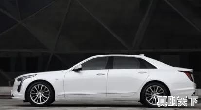 作价20万的二手车 - 真时天下