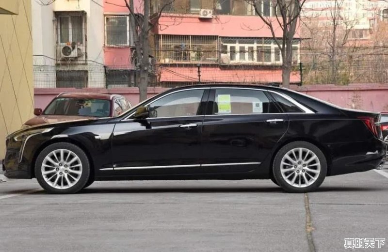 作价20万的二手车 - 真时天下