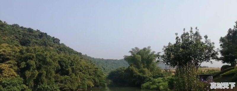 鸡肉价格大涨,还能愉快的“吃鸡”吗 - 真时天下