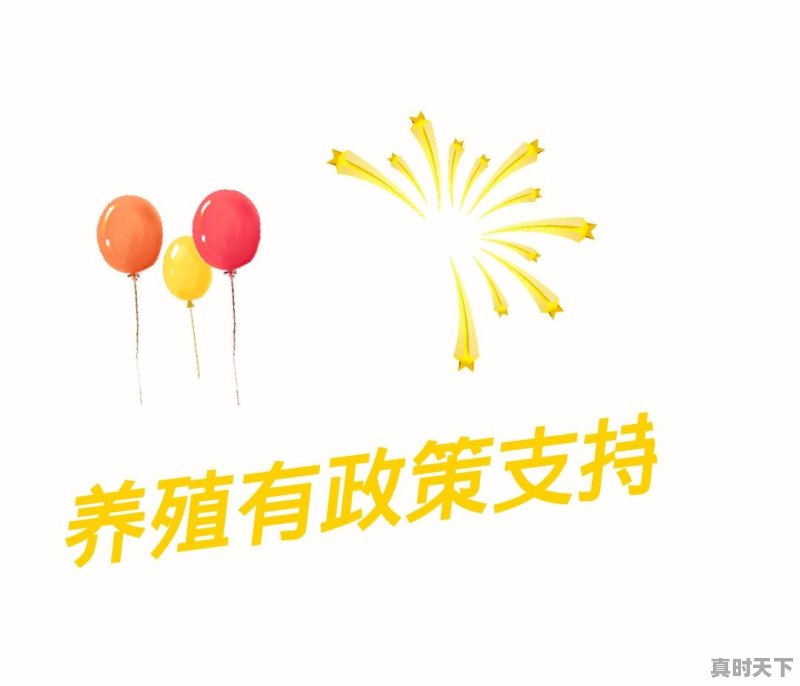 鸡肉价格大涨,还能愉快的“吃鸡”吗 - 真时天下