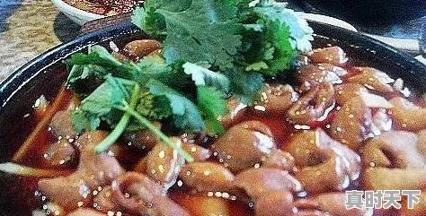 马鞍山盛产玉米吗 - 真时天下