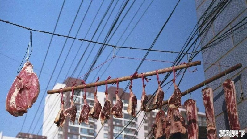 今日生猪价格7月23 - 真时天下