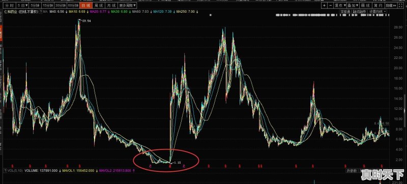 股票亏了几个点怎么算 - 真时天下