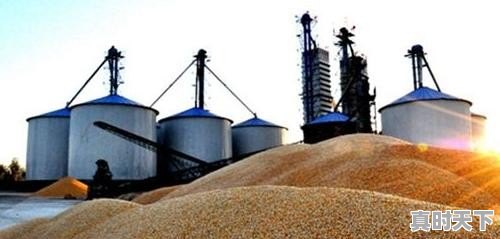 铝合金门窗的加工费是多少 - 真时天下