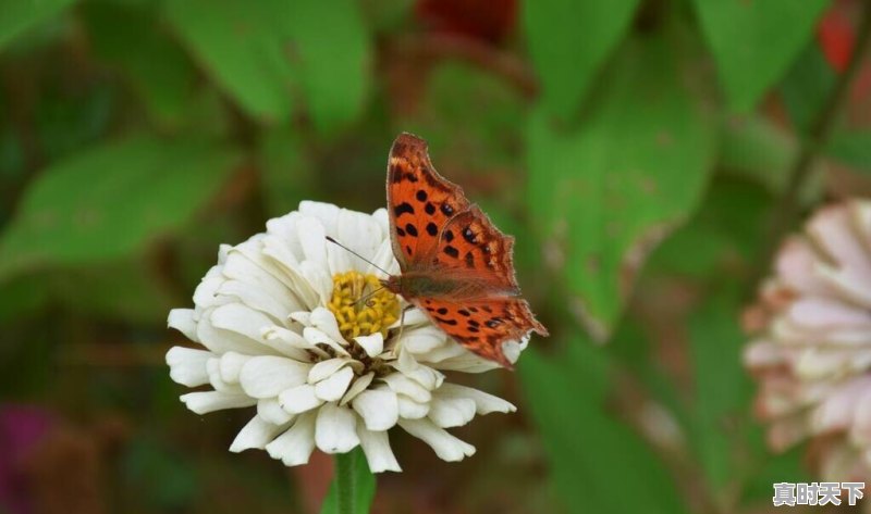 2022—2023即将上映的十大电影 - 真时天下