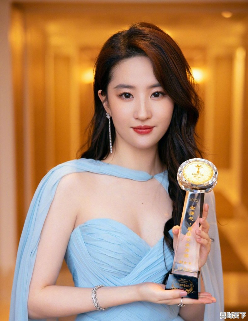 金莲花奖是什么级别的 - 真时天下