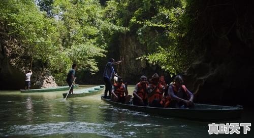文山今日棉花价格 - 真时天下