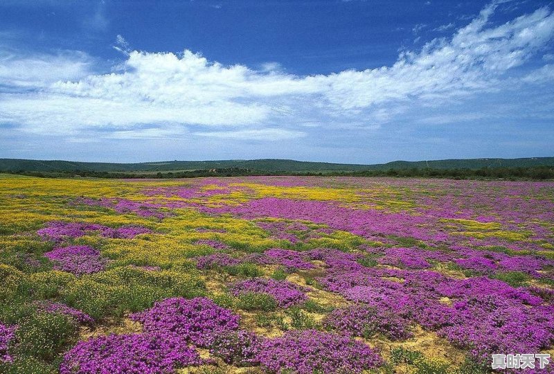 甘孜为啥确诊病人排名四川第二，仅次于成都？人流量很大吗 - 真时天下