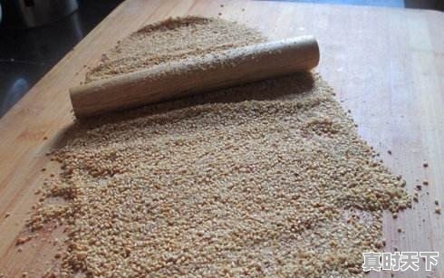 观音堂天气预报15天查询 - 真时天下