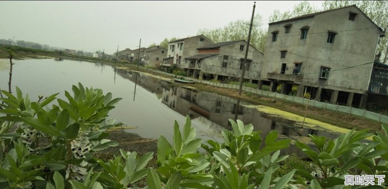 要说好新闻我们必须要做到哪些方面 - 真时天下