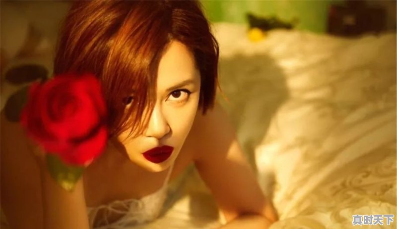 泰国戛纳电影节获奖作品有哪些 - 真时天下