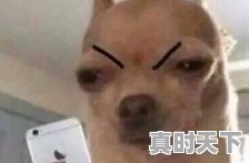 大神们，3D漫画一般在哪看呢 - 真时天下