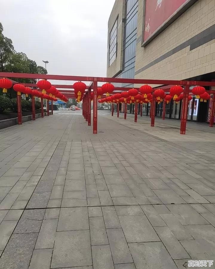 宝丰二手车出租哪家好些呢 - 真时天下