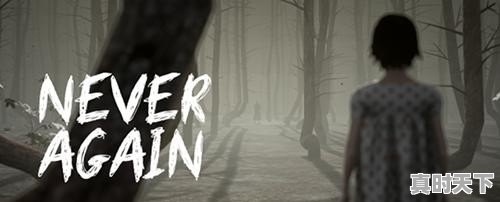 找一款电脑单机解密游戏~ - 真时天下