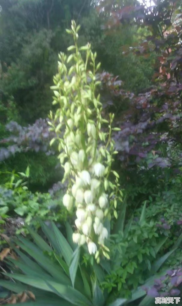 贵州科技创新综合实力怎么样啊 - 真时天下