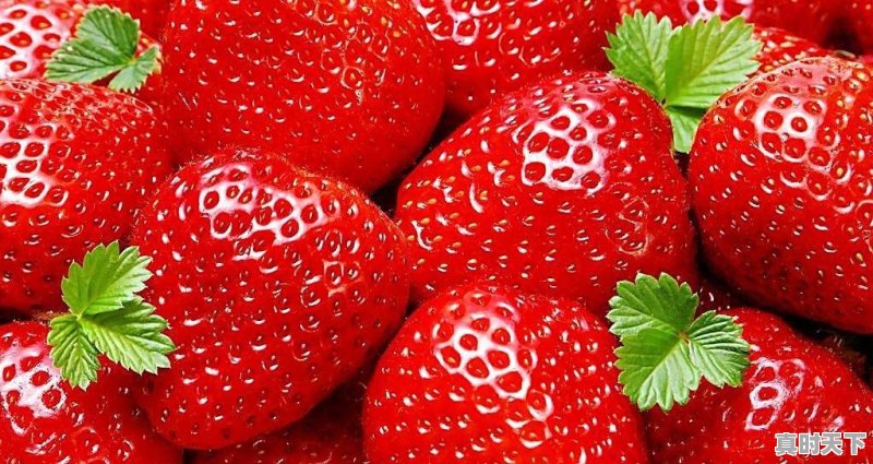 社区配送30元蔬菜 - 真时天下