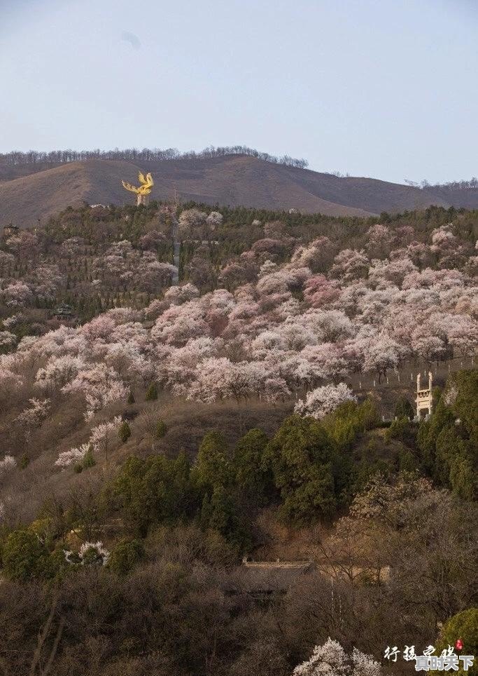 册亨八渡为什么很热 - 真时天下