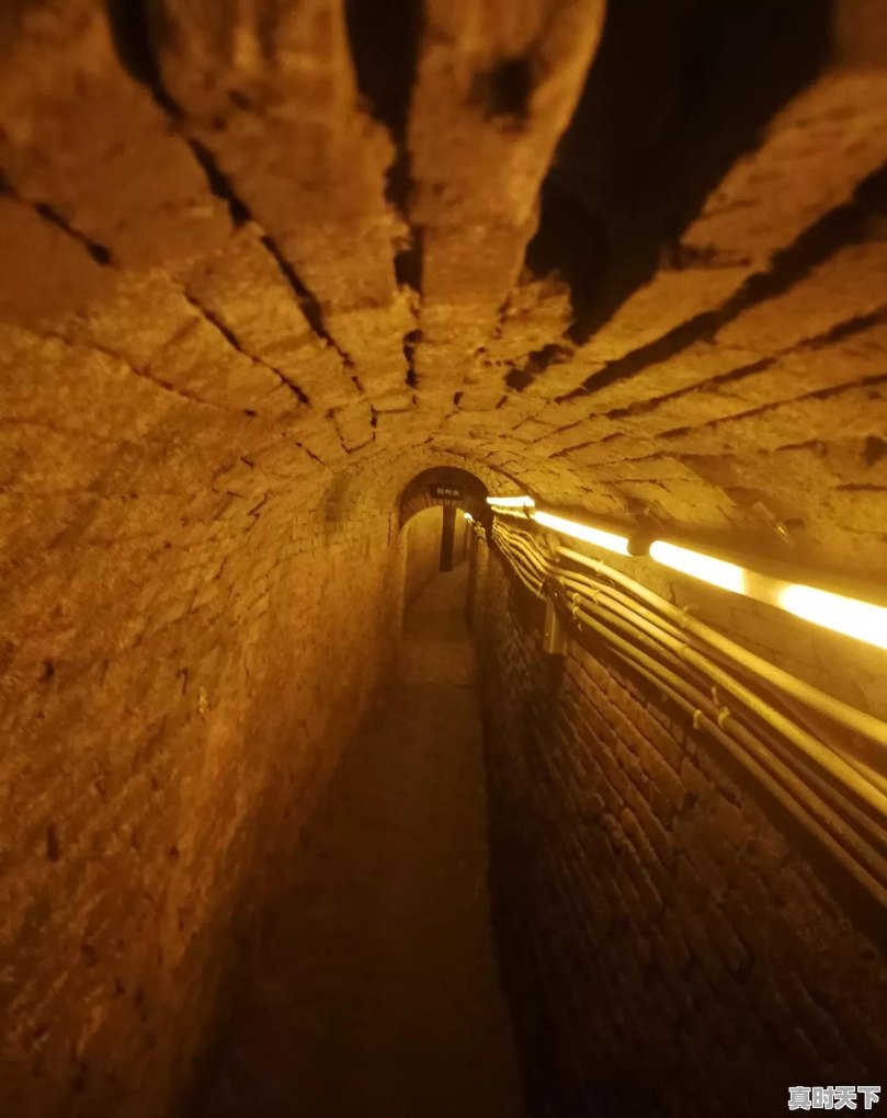 有车为什么要买二手车呢知乎 - 真时天下