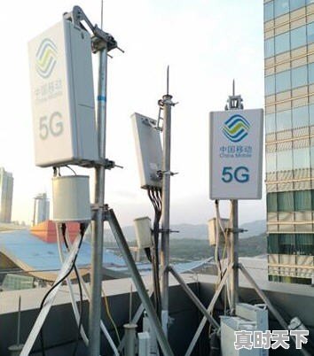 深港科技创新合作区领导小组办公室建设推进组 - 真时天下