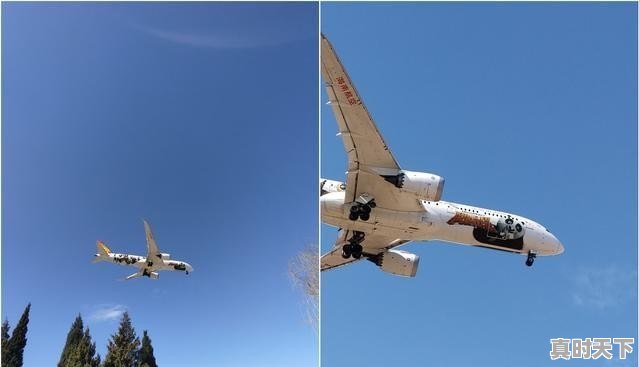 科技创新类型 - 真时天下