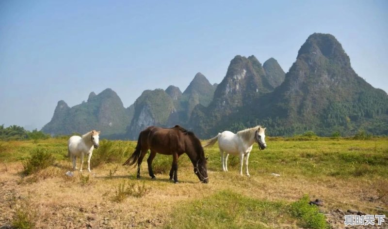 阳朔一个月天气预报 - 真时天下