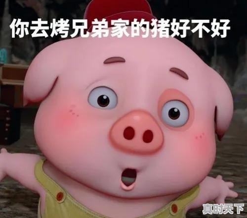 今日日照生猪价格预测 - 真时天下