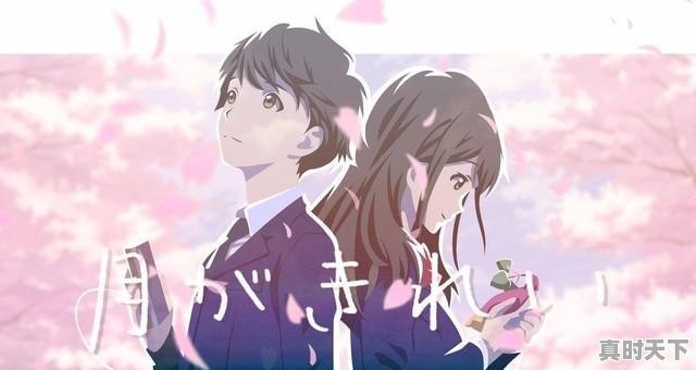 跨越种族的爱恋动漫推荐 - 真时天下