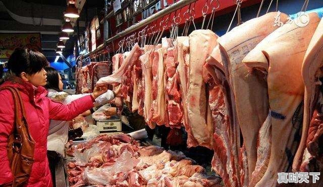 四川天气今日生猪价格表 - 真时天下