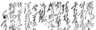 阆中食用调和油今日价格查询 - 真时天下