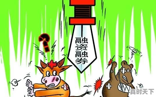 一支股票怎么看融资盘是买入了还是卖出的 - 真时天下