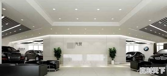 买车给二手车行可以直接过户吗 - 真时天下