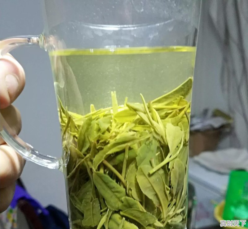 河南省信阳毛尖价格表 - 真时天下