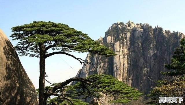 白山实时天气预报 - 真时天下