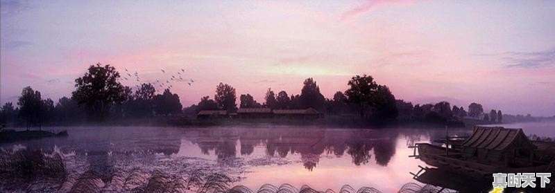 初中孩子总爱看动画片,是利还是弊 - 真时天下