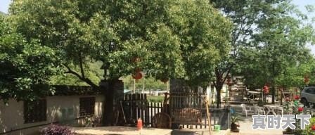 现在农村，不出远门，在家方圆10公里能找到活上班挣钱吗 - 真时天下