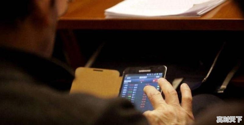 股市中只做一个股票,长期低买高卖套利有可行性吗 - 真时天下